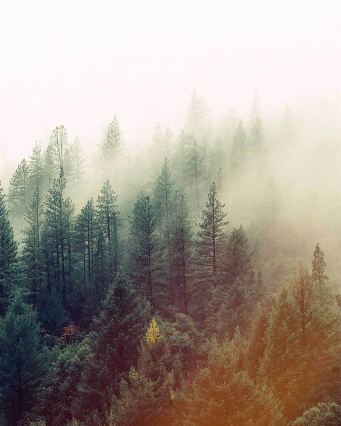 Selkirk Timber Products